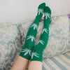 Weed High Over The Knee Sockings - American Weedster